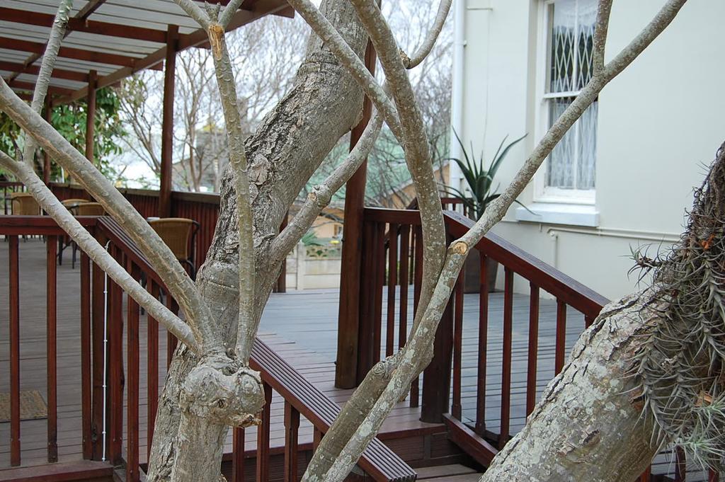 Glencoe Guest House King William's Town Ngoại thất bức ảnh